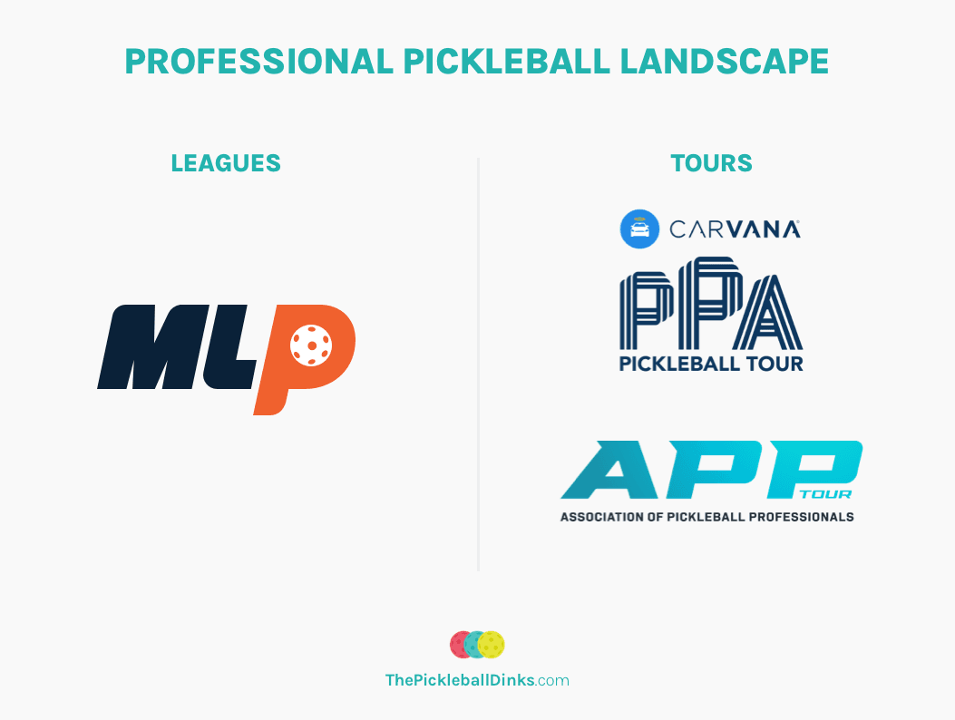 Professional Pickleball Landscape
